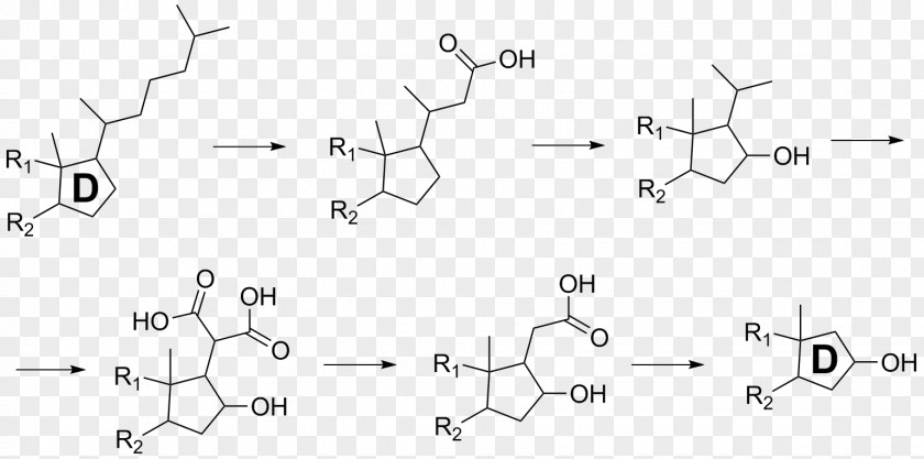 Cholesterol Fire Salamander Samandarin Alkaloid Steroid PNG