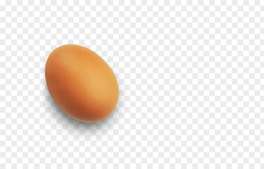 Egg Sandwich Close-up PNG