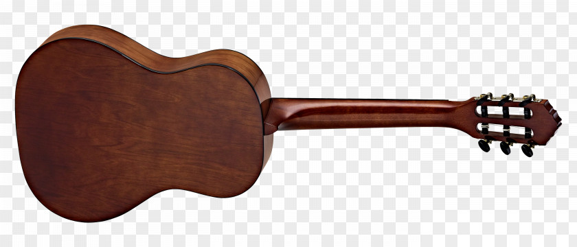 Guitar Classical Acoustic Ukulele Fingerboard PNG