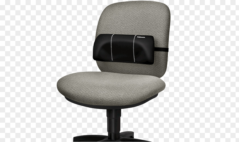 Lumbar Vertebrae Human Back Vertebral Column Office & Desk Chairs PNG
