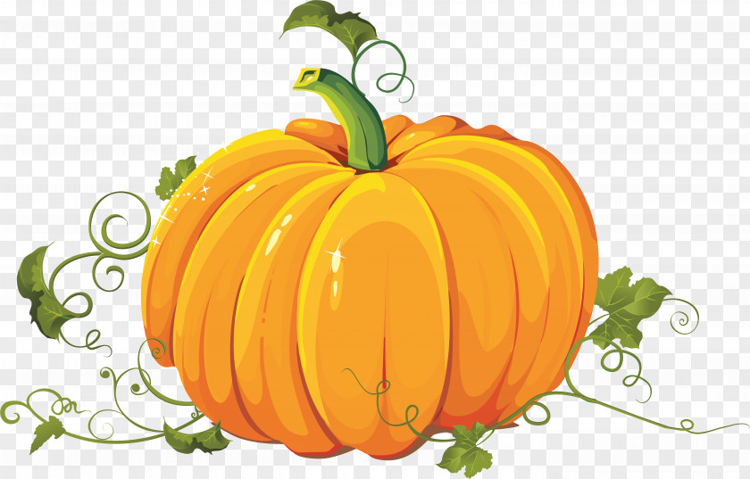 Pumpkin Clip Art Pie Field PNG