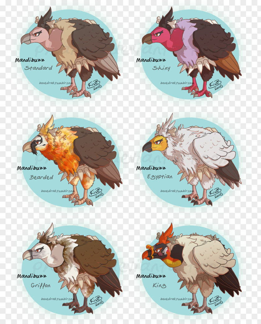 Bearded Vulture Drawing DeviantArt Pokémon Jirachi PNG