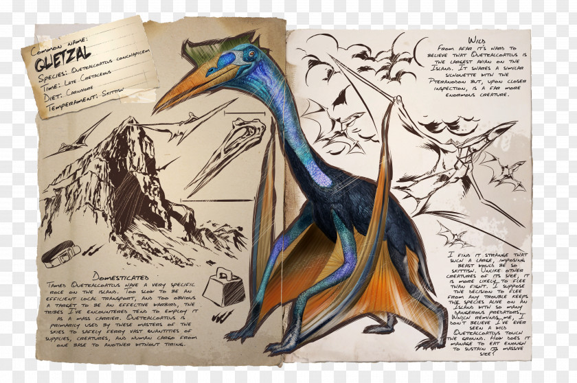 Dinosaur ARK: Survival Evolved Pteranodon Stegosaurus Pterosaurs Flight PNG