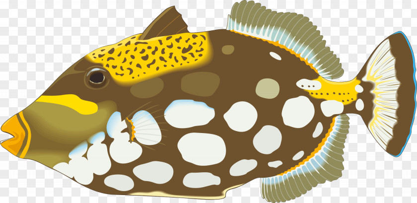 Cute Fish Seabed Vector Material Angelfish Triggerfish Royalty-free Illustration PNG