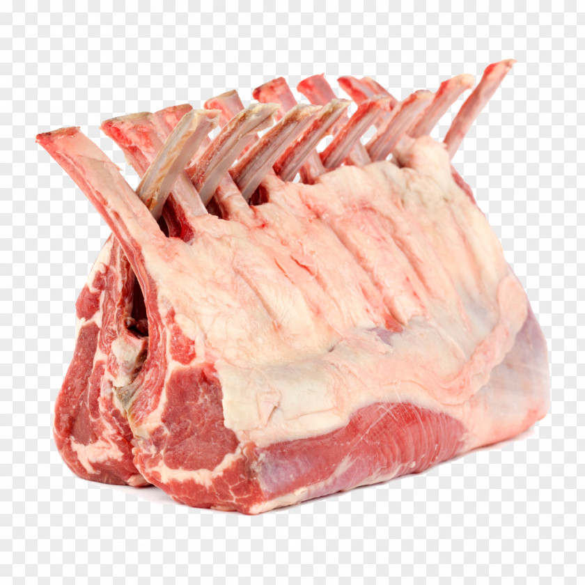 Roast Ribs Sheep Rack Of Lamb And Mutton Meat Chop PNG