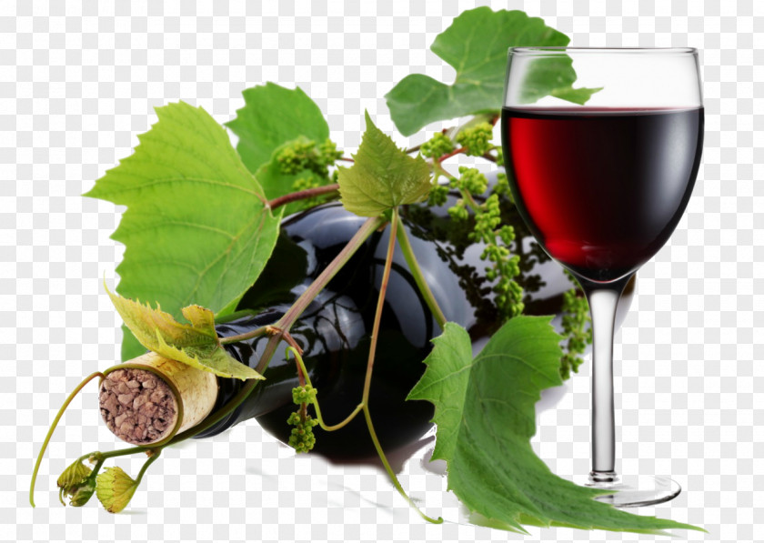 Wine Red Pinot Noir Rosé Bottle PNG