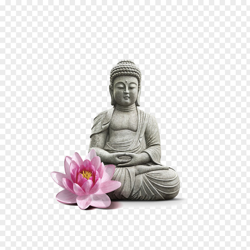 Buddha And Lotus Mindfulness Buddhism Buddhahood Pu0101ramitu0101 PNG