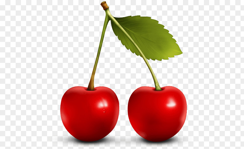 Red Cherry Image Download Berry Fruit Icon PNG