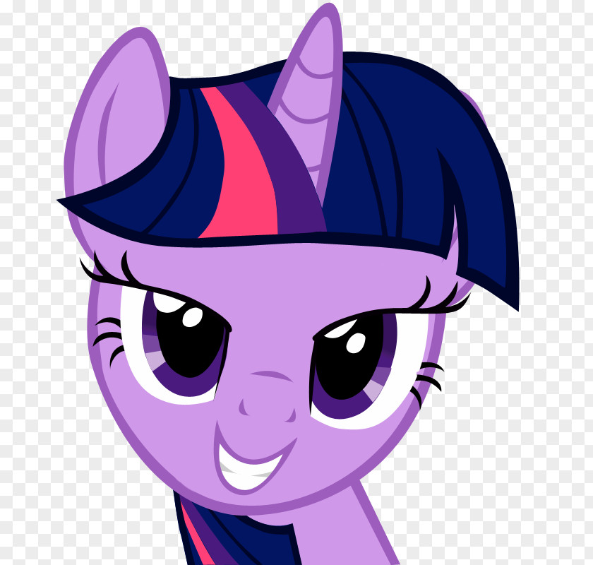 Twilight Sparkle Rainbow Dash Pony Pinkie Pie Rarity PNG