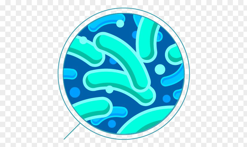Antibody Images Bacteria Slime Layer Image Clip Art PNG