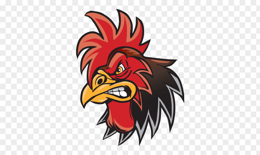 Chicken Rooster Drawing PNG