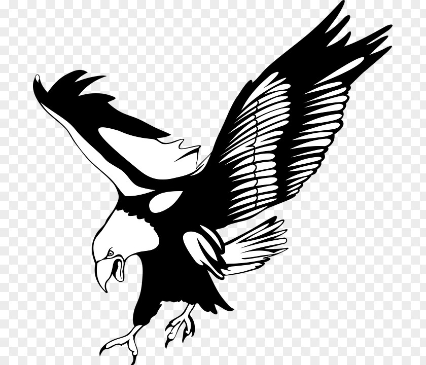 Eagle EAGLE Clip Art PNG
