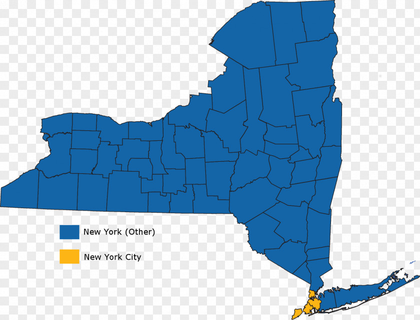 New York City Map Reclaim Iwba Organization State Legislature Election PNG