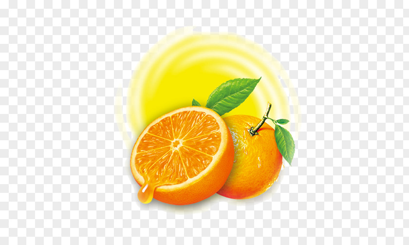 Orange Swirl Lemon Squeezer Citron Juicer PNG