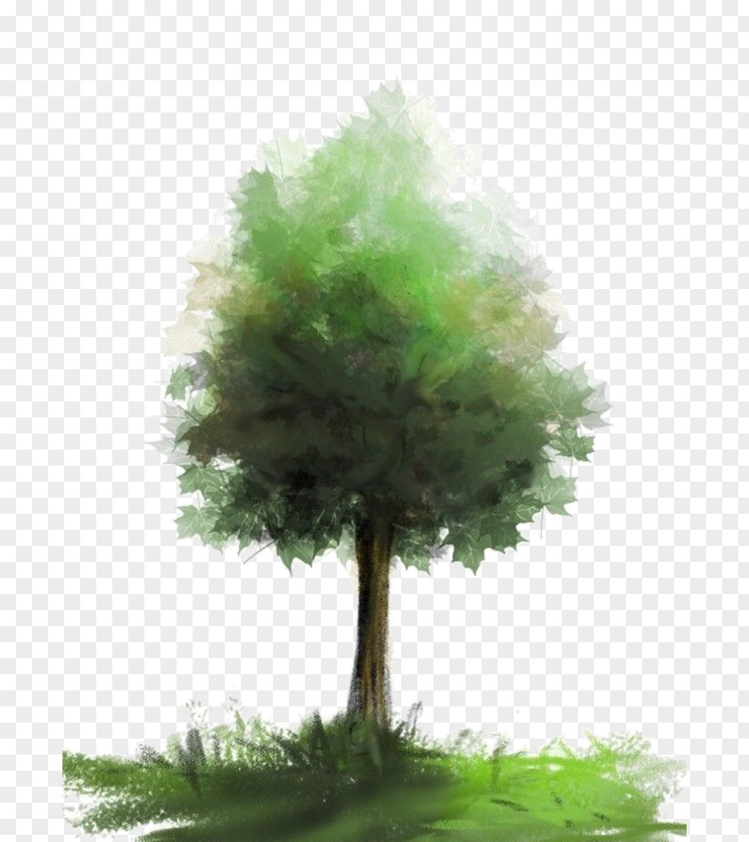 Painting Watercolor Tree Image PNG