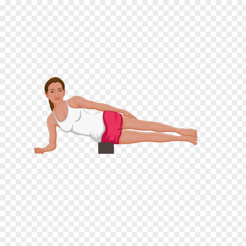 Plank Shoulder Sarvangasana Hip Yoga PNG