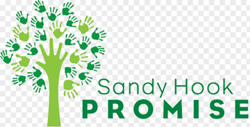 Sandy Hook Shooting Newtown Elementary School Promise PNG