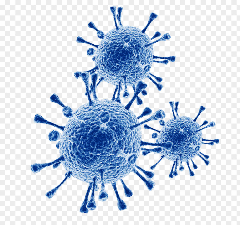 Vector Respiratory Syncytial Virus Infectious Disease Influenza Infection Coronavirus PNG