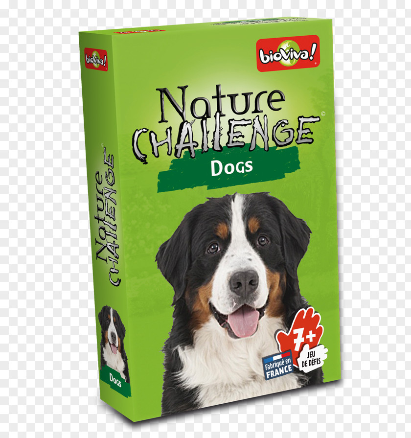 Dog Défis Nature Bioviva Story Game PNG