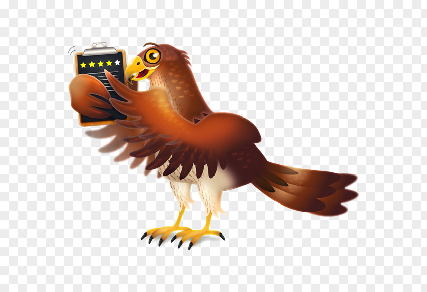 Eagle Hawk IPhone Service Company PNG