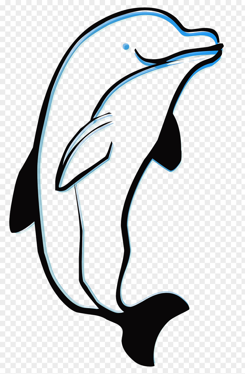 Hand-painted Dolphin Paint Child Drawing Coloring Book Art PNG