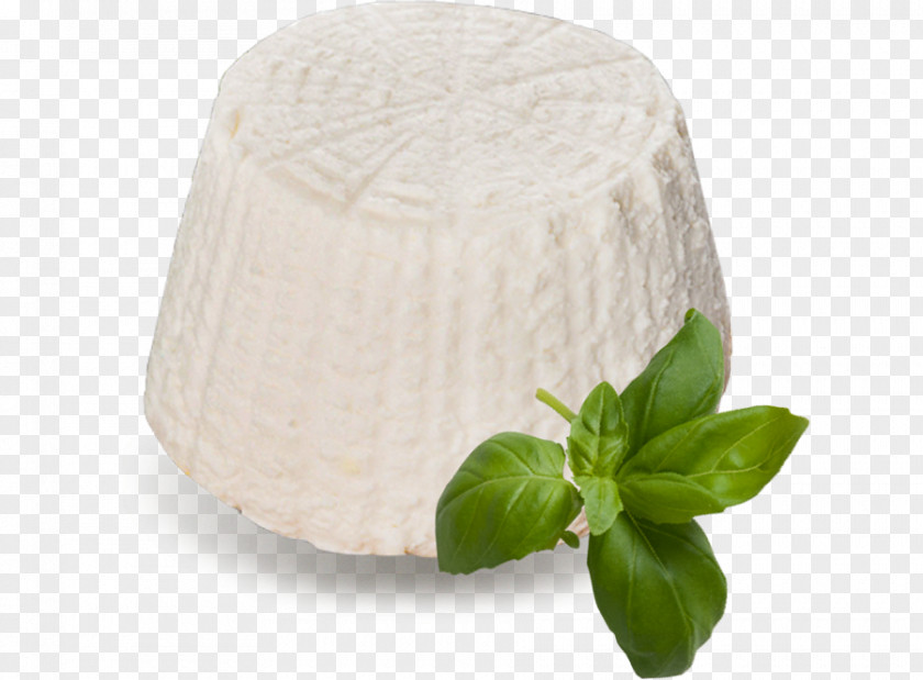 Milk Goat Cheese Ricotta Pecorino Romano PNG