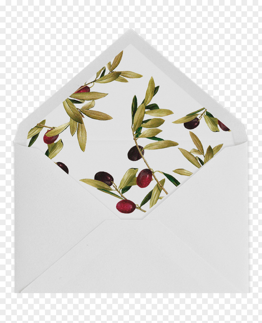 Olive Paper Density Convite Envelope PNG