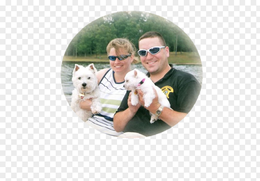 Puppy Dog Breed West Highland White Terrier North Carolina PNG