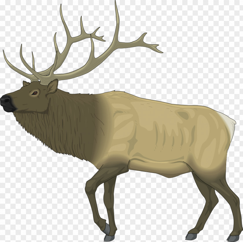 Raindeer Images Elk Deer Moose Clip Art PNG