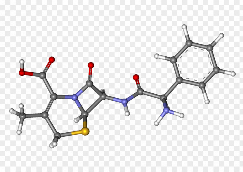 Rivastigmine Familial Hypocalciuric Hypercalcemia Phenylketonuria Cefalexin Pharmaceutical Drug PNG