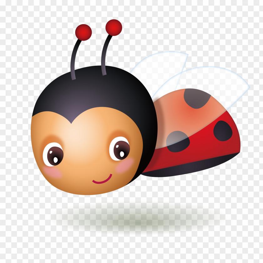 Vector Seven Star Ladybugs Ladybird Insect Euclidean PNG