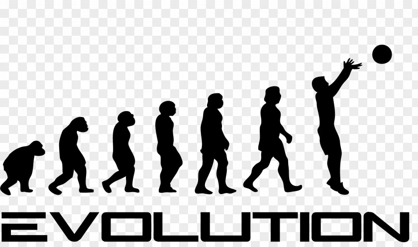 Daniel Bryan T-shirt Human Evolution Garrus Vakarian Homo Sapiens PNG