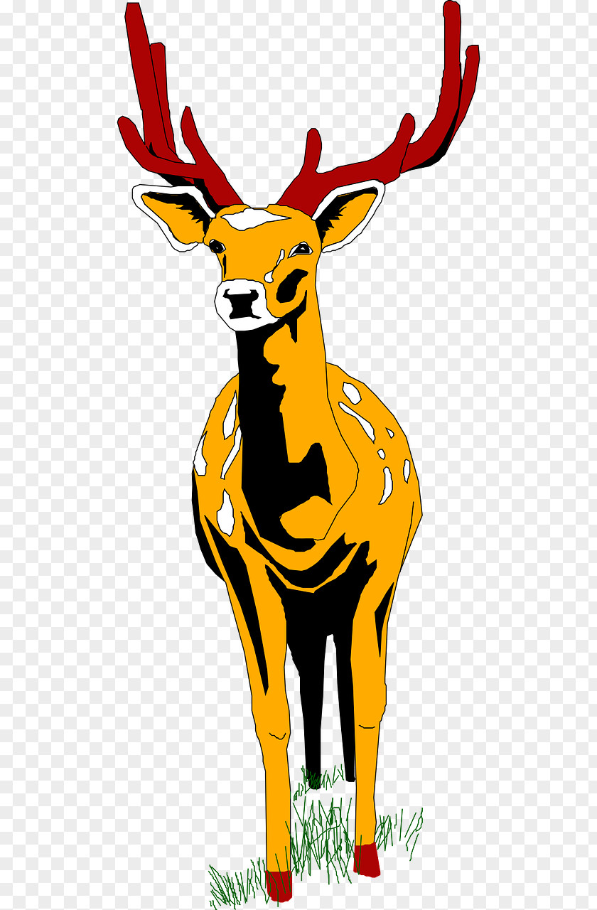 Deer Roe Moose Drawing Clip Art PNG