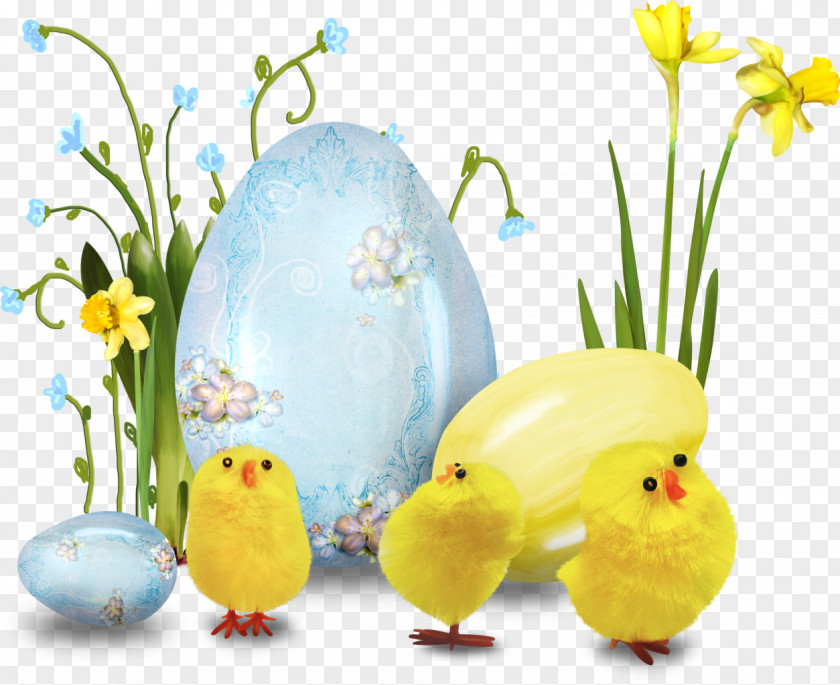 Easter Bunny Egg Holiday Idea PNG