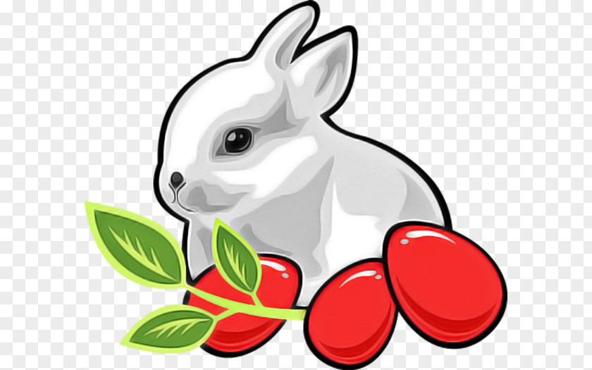 Easter Bunny PNG