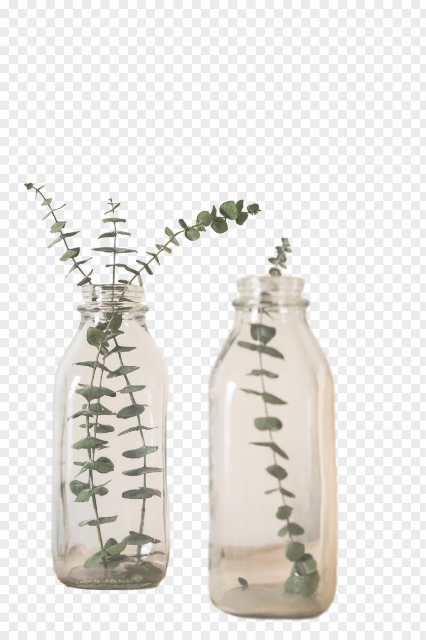 Glass Bottle Jar Vase PNG