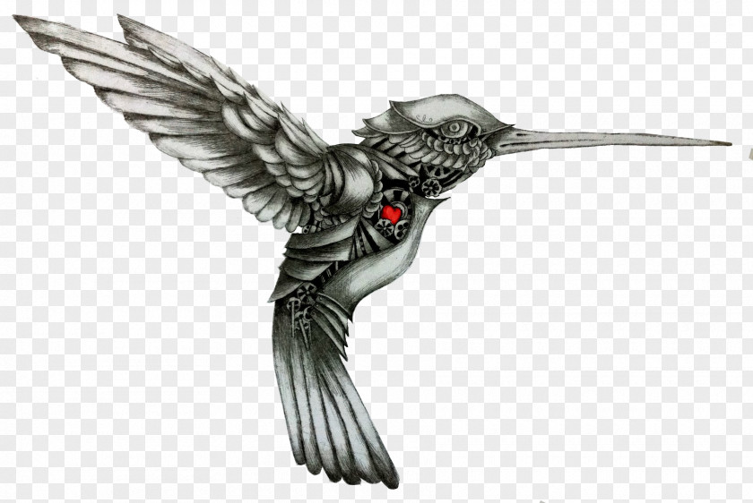 Hummingbird Drawing Tattoo Color PNG