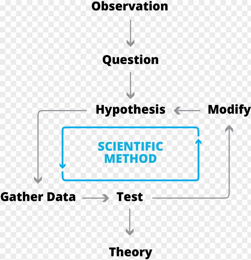 Scientific Method Document Line Angle Brand PNG
