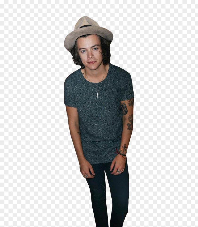 Styles Harry One Direction Potter The X Factor Four PNG