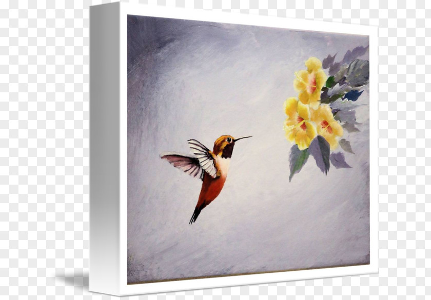 Painting Hummingbird Watercolor Art PNG