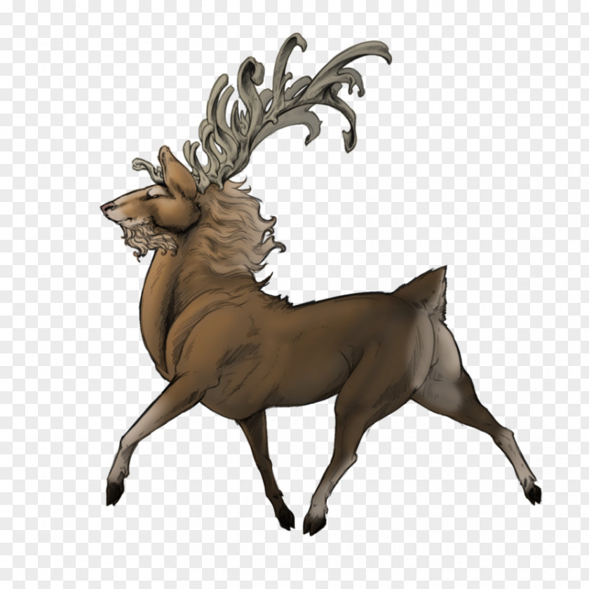 Reindeer Elk Antler Wildlife Terrestrial Animal PNG