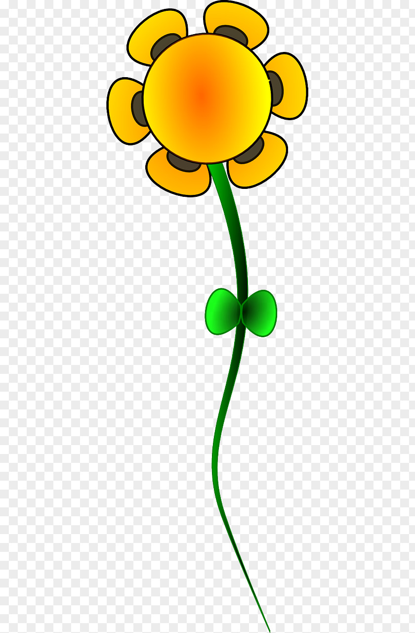 Flower Clip Art Drawing Floral Design PNG