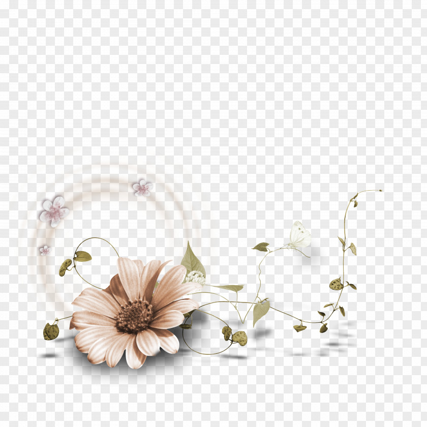 Flowers Frame Picture Frames Flower Drawing PNG