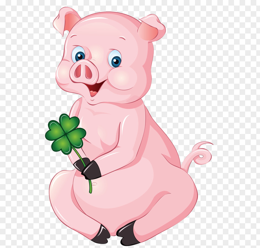 Holding Flower Pig Domestic Royalty-free Stock Photography PNG