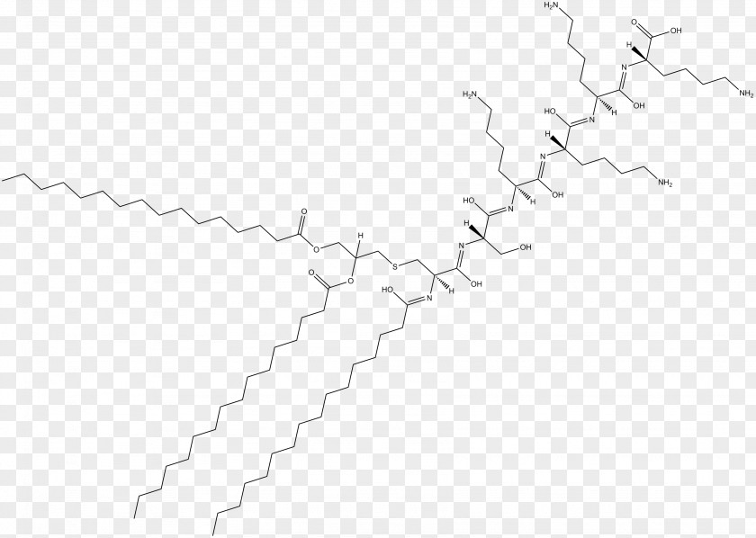 Inflammation Line Point Angle White PNG