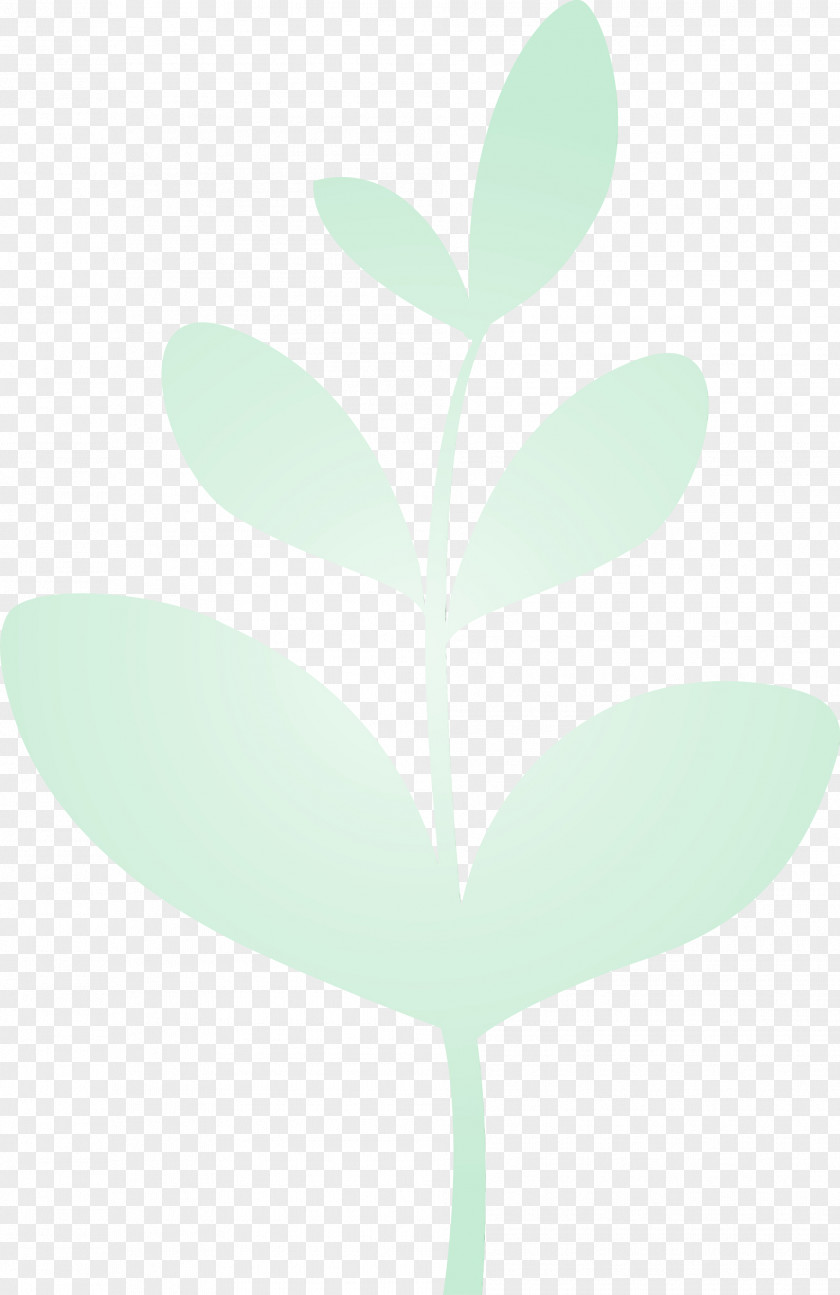 Leaf Green Plant Flower PNG