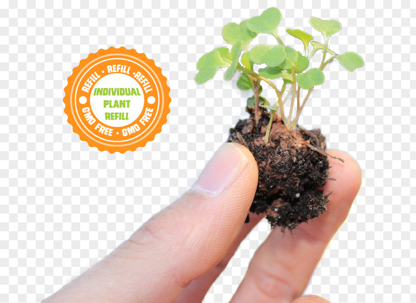 NoN Gmo The Non-GMO Project Genetically Modified Organism Soil Germination Seed PNG