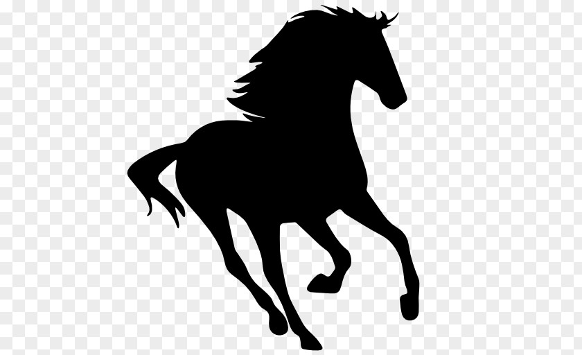 Runner Mustang Wild Horse Clip Art PNG