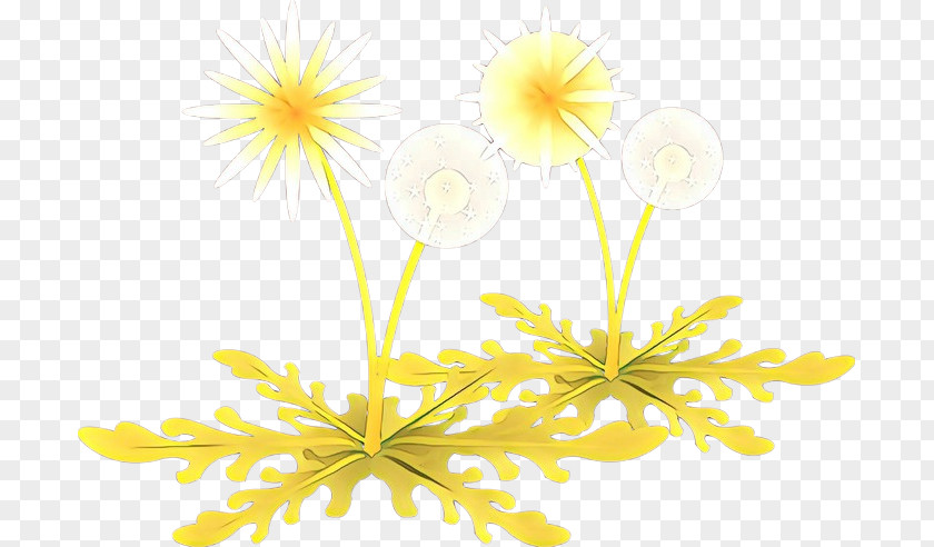 Yellow Flower Plant Petal Wildflower PNG