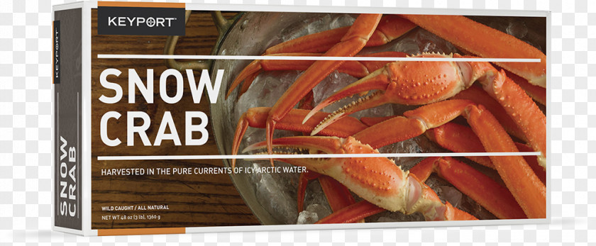 Clam Meat Red King Crab Snow Alaskan Fishing PNG